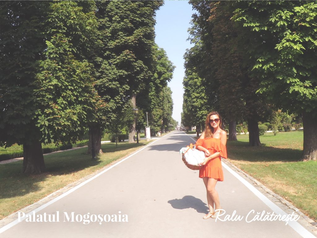 Palatul Mogosoaia 1