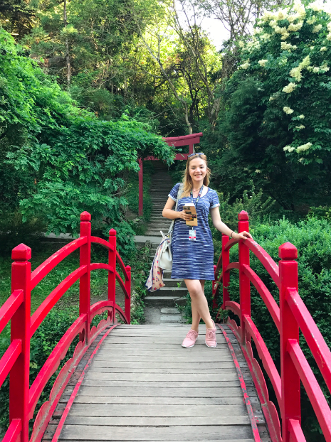 Screen Shot 2017-07-03 at 06.41.18