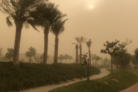 Ralu Calatoreste Furtuna de nisip în Dubai